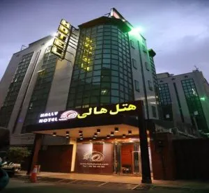 Hally-Hotel-1-300x277
