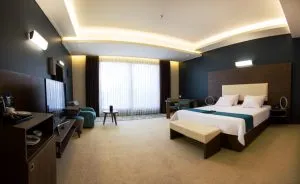 Homa-Hotel-3-1-300x184