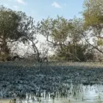 10-Days-Tour-of-Iran-Islands3