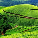 Rasht to Qale Rood Khan